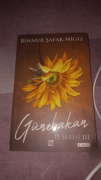 İs serisi günebakan 