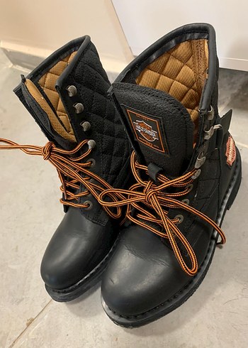 Harley davidson bot - Görsel 2