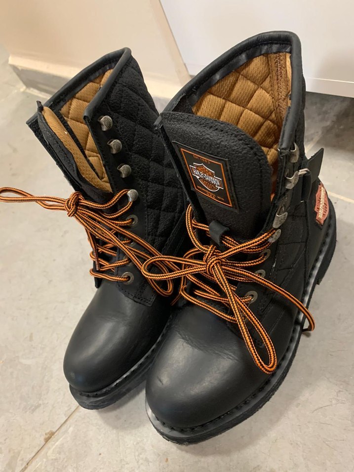 Harley davidson bot - Görsel 2