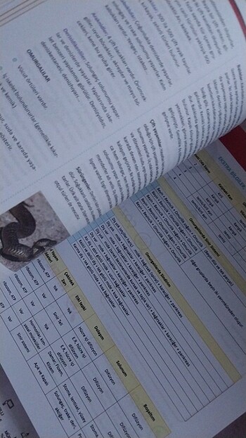 tyt biyoloji  - Görsel 2