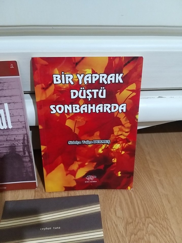 şiir kitapları 3lü set - Görsel 3