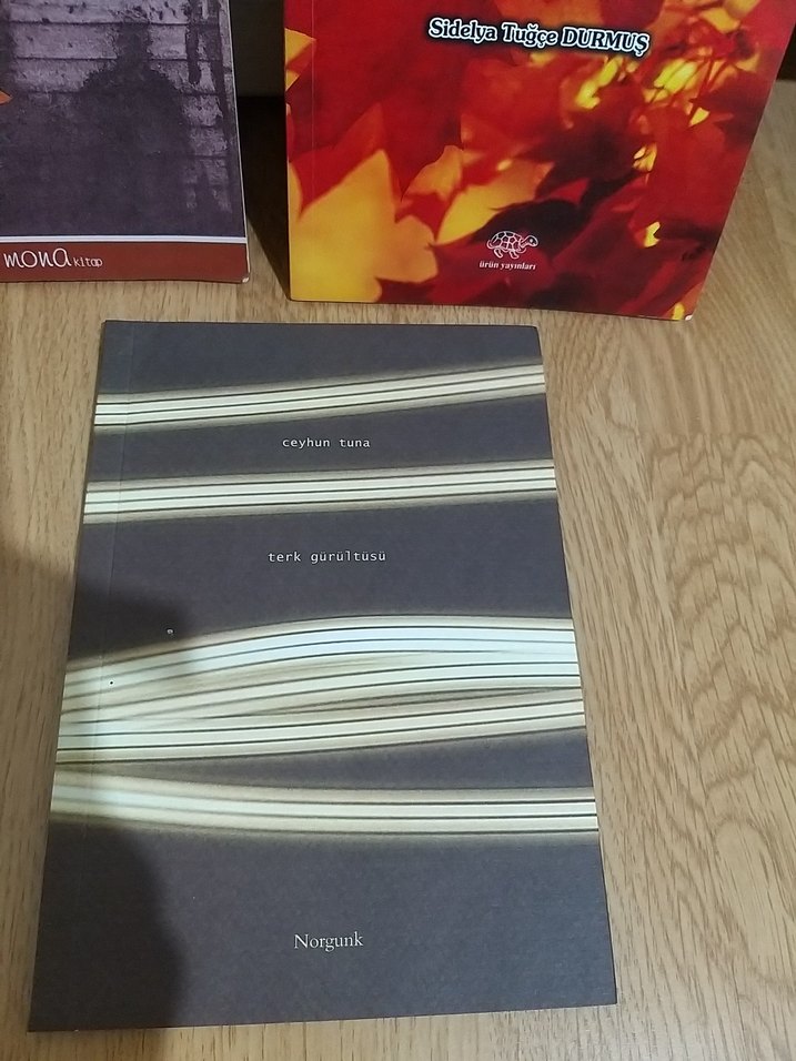 şiir kitapları 3lü set - Görsel 4