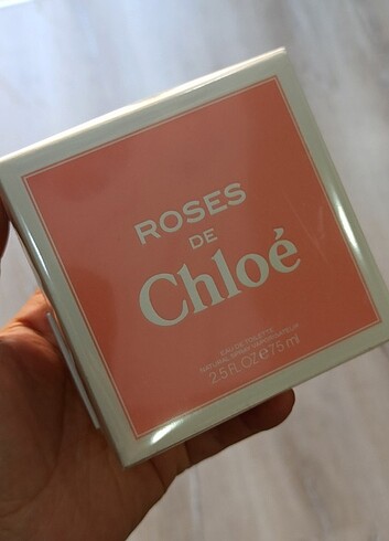 Roses de Chloe 