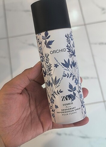 Zara orchid 