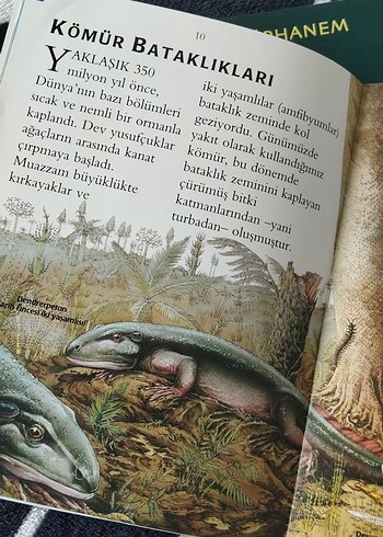 İlk Bilim Kütüphanem: Dinozorlar ve Tarih Öncesi - Görsel 2