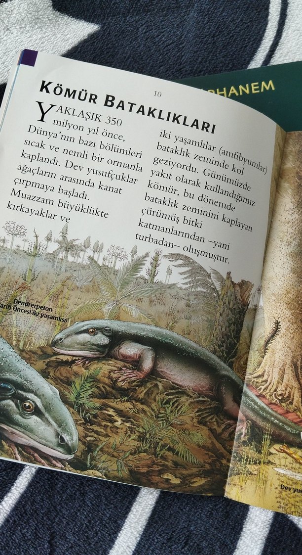 İlk Bilim Kütüphanem: Dinozorlar ve Tarih Öncesi - Görsel 2