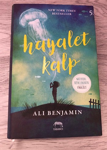 Hayalet Kalp Roman