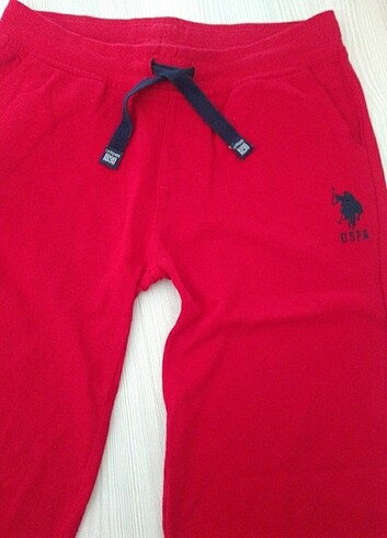 U.S Polo Assn. U.s polo şort 