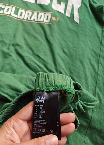 13-14 Yaş Beden H&M erkek cocuk sort takim