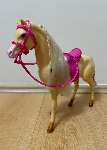 Barbie Barbie Bebek ve Tawny At Seti