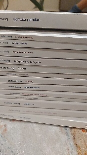 Stefan zweig 13 kitap