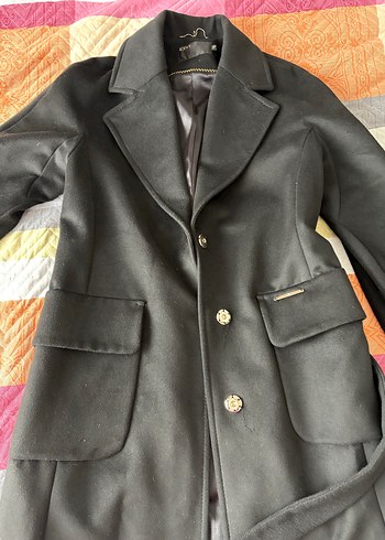 Siyah Kuşaklı Kaban - Görsel 10