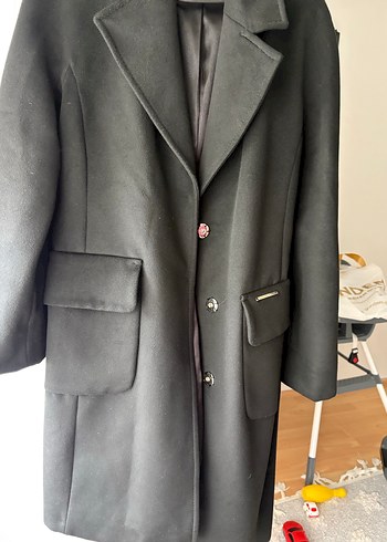 Siyah Kuşaklı Kaban - Görsel 6