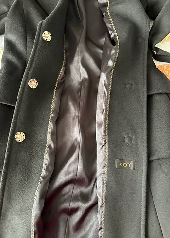 Siyah Kuşaklı Kaban - Görsel 9