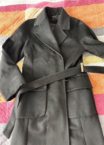 Siyah Kuşaklı Kaban - Görsel 11