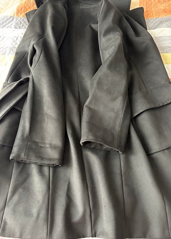 Siyah Kuşaklı Kaban - Görsel 7