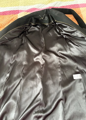 Siyah Kuşaklı Kaban - Görsel 13