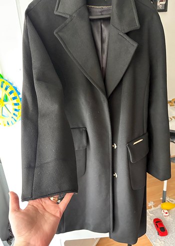 Siyah Kuşaklı Kaban - Görsel 4