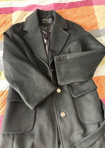 Siyah Kuşaklı Kaban - Görsel 8