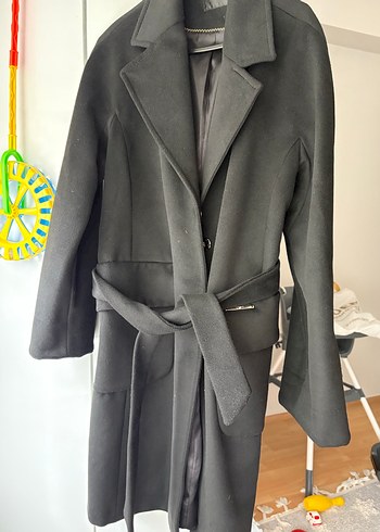 Siyah Kuşaklı Kaban - Görsel 2