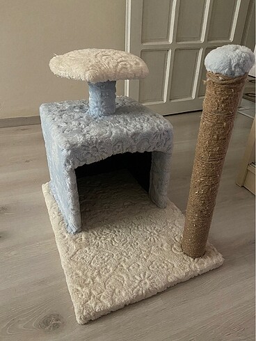 Kedi evi