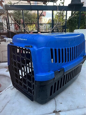 Kedi taşıma çantası