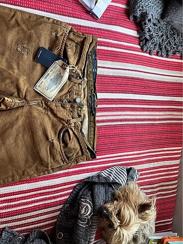 l Beden Ralphlauren