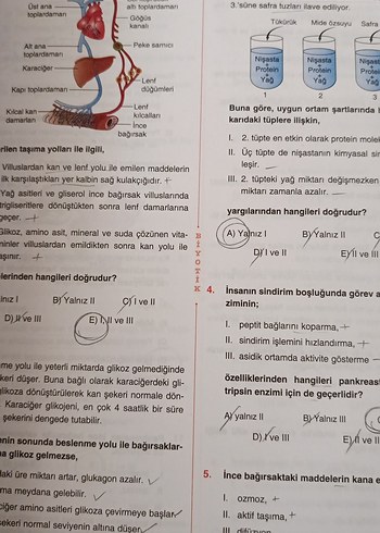 Beden Renk Biyoloji Soru Bankası - Biyotik Yayınları