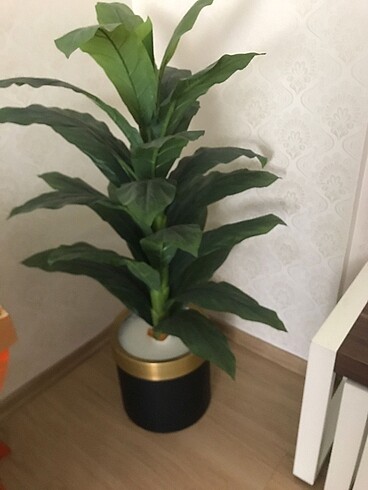 Yapay salon çiçeği
