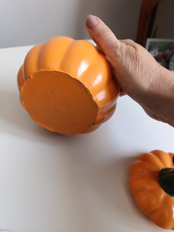 Turuncu Kabak aksesuar - Görsel 4