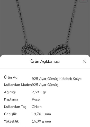 925 Ayar Gümüş Kelebek Kolye - Görsel 2