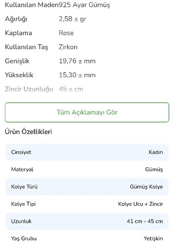 925 Ayar Gümüş Kelebek Kolye - Görsel 3