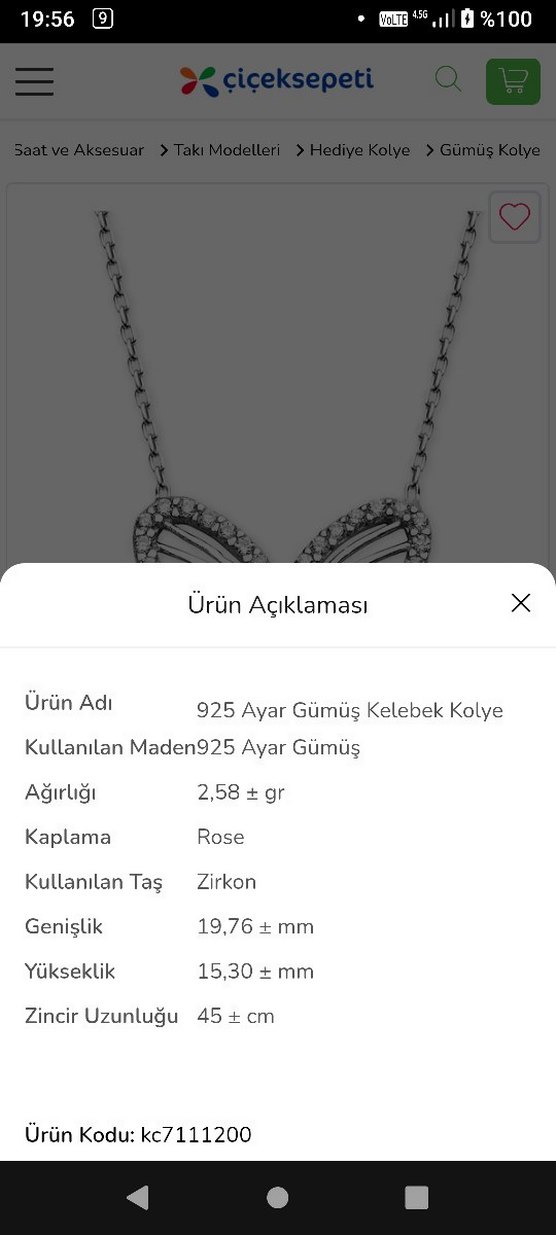 925 Ayar Gümüş Kelebek Kolye - Görsel 2