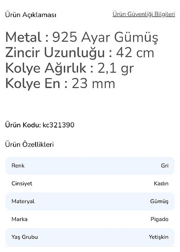 Melek Kanatlı Sonsuzluk Gümüş Kolye - Görsel 2