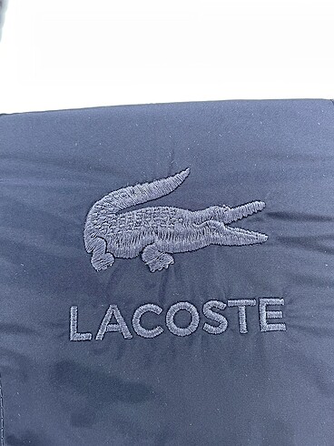 s Beden lacivert Renk Lacoste Mont %70 İndirimli.