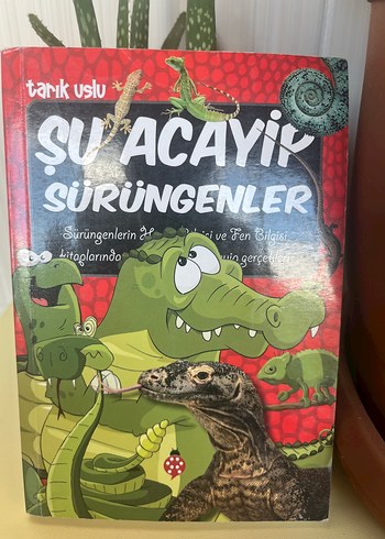 Beden Renk Tank Uslu'dan Su Acayip Serisi 9 Kitap