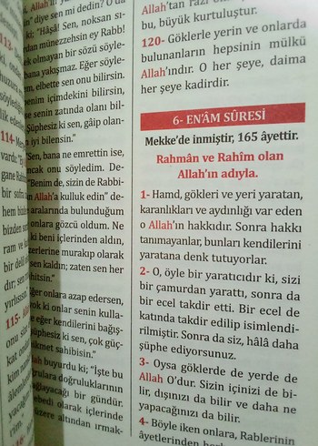 Beden KURANI KERİM MEALİ SADECE MEALDİR