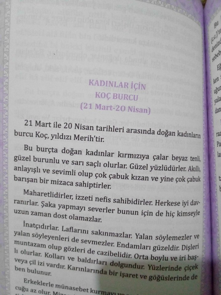 BURÇLAR VE YILDIZNAME - Görsel 2