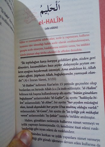 ESMAÜL HÜSNA - Görsel 6