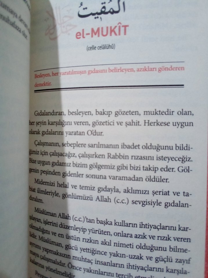 ESMAÜL HÜSNA - Görsel 4