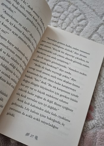 Terk Edilmiş Kedi Yavrusu Kitabı İş bankası yayınları - Görsel 3