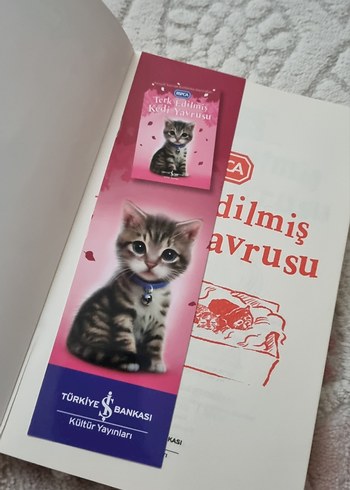 Terk Edilmiş Kedi Yavrusu Kitabı İş bankası yayınları - Görsel 2