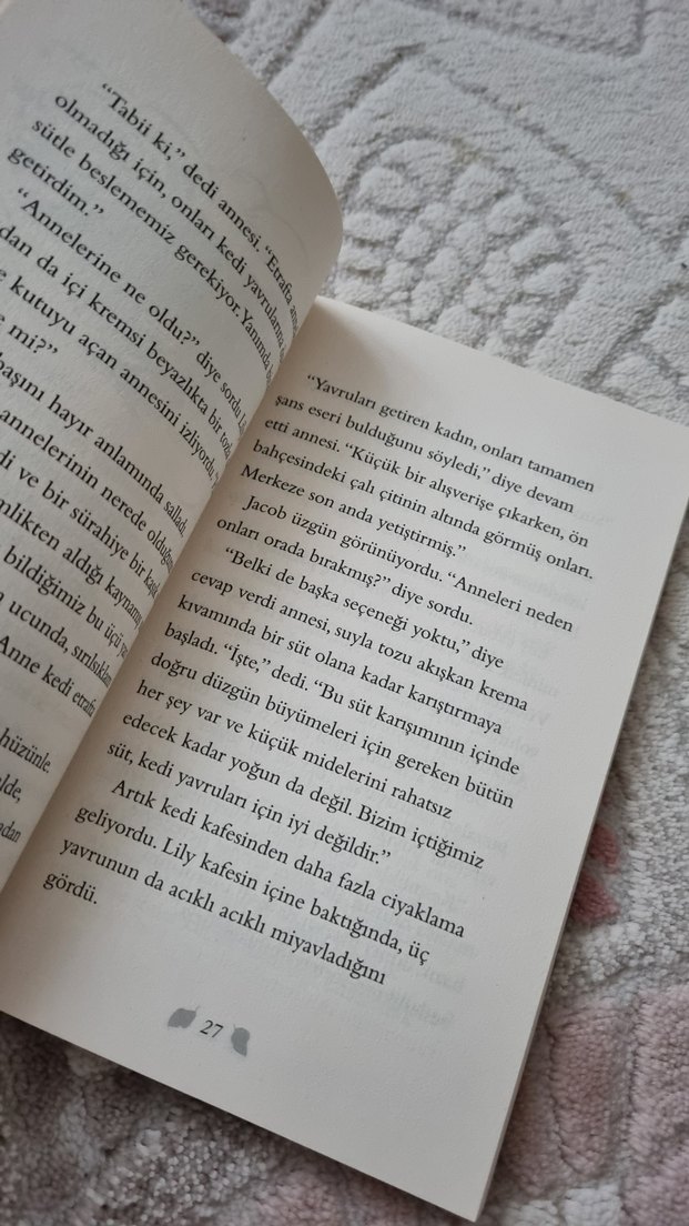 Terk Edilmiş Kedi Yavrusu Kitabı İş bankası yayınları - Görsel 3