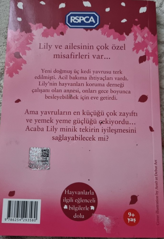Terk Edilmiş Kedi Yavrusu Kitabı İş bankası yayınları - Görsel 5