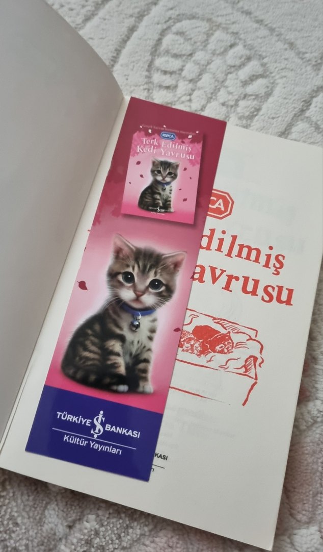 Terk Edilmiş Kedi Yavrusu Kitabı İş bankası yayınları - Görsel 2