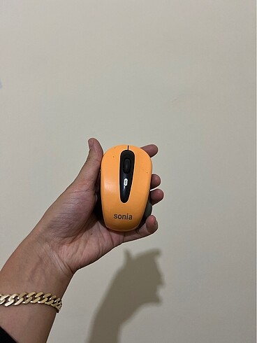 Mouse