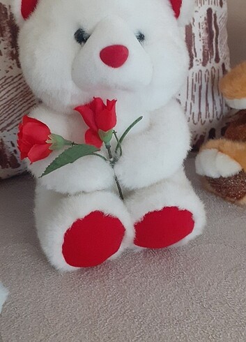 3adet ayicik