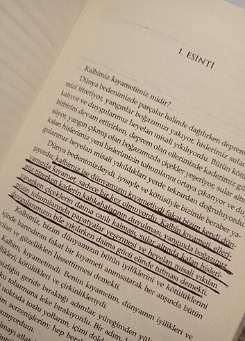 Beden Renk EMARE / GECE YARISI KÜTÜPHANESİ