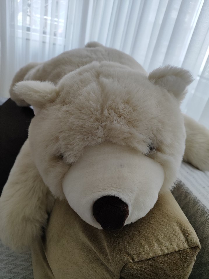 Peluş Ayı Oyuncak - Görsel 3