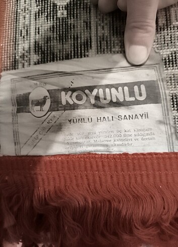 Koyunluhalı 3 lü takım